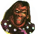 Ape Nation