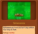 Spikeweed