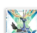 Pokémon X and Y