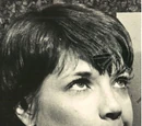 Marilyn Schreffler