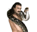 Jake Roberts