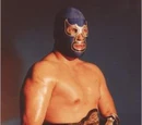 Blue Demon Jr.