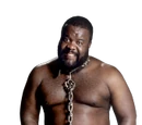 Junkyard Dog