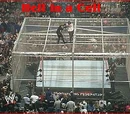 Hell in a Cell