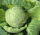 Irish Cabbage and Potato Slaw