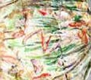 Pajeon