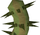 Potato cactus
