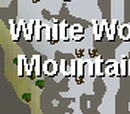 Fishing Contest/Quick guide