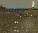 Waterbirth Island