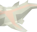 Whitefish