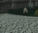 Horror from the Deep