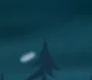 Winter Hollow