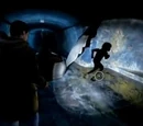 Larval Stalker (Shattered Memories)
