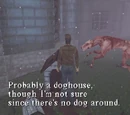 Dog House