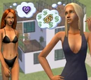 Caliente family
