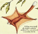 Flunkey
