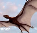 Deathgleaner