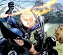 New Fantastic Four (Earth-808122)