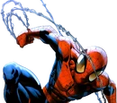 Peter Parker (Earth-1610)