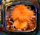 List of commercials