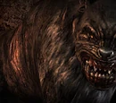 Pseudodog