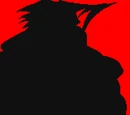 Shadow