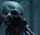 Crooked Man