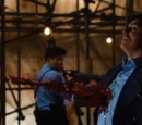 The Blood Line (TV story)
