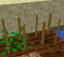 Crop Block