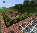 Forestry