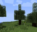 Rubber farming