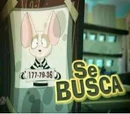 Se Busca