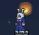 Vanity Items
