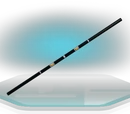 Staff