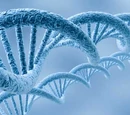 Temporal Gene
