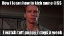 7 days a week.jpg