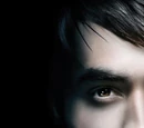 Damon Salvatore (novel)
