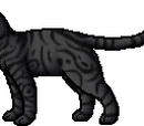 Darkstripe