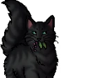 Willowshine