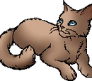 Primrosepaw