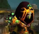 Plagueheart Raiment