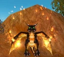 Black Dragon Whelp
