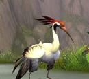 Whitefisher Crane