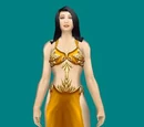 Robes of the Battleguard