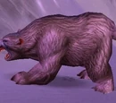 Rabid Shardtooth