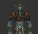 Tortured Druid