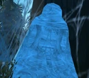 Riven Widow Cocoon