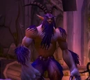 Wildspawn Felsworn