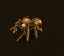 Gold Beetle