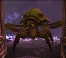Raigonn